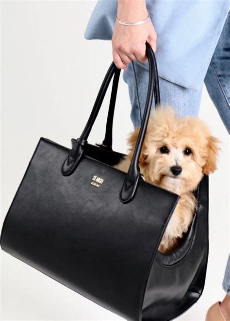 designer inspired pet carrier